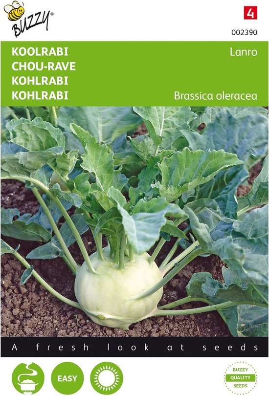 Buzzy zaden - Koolrabi Lanro - Brassica oleracea