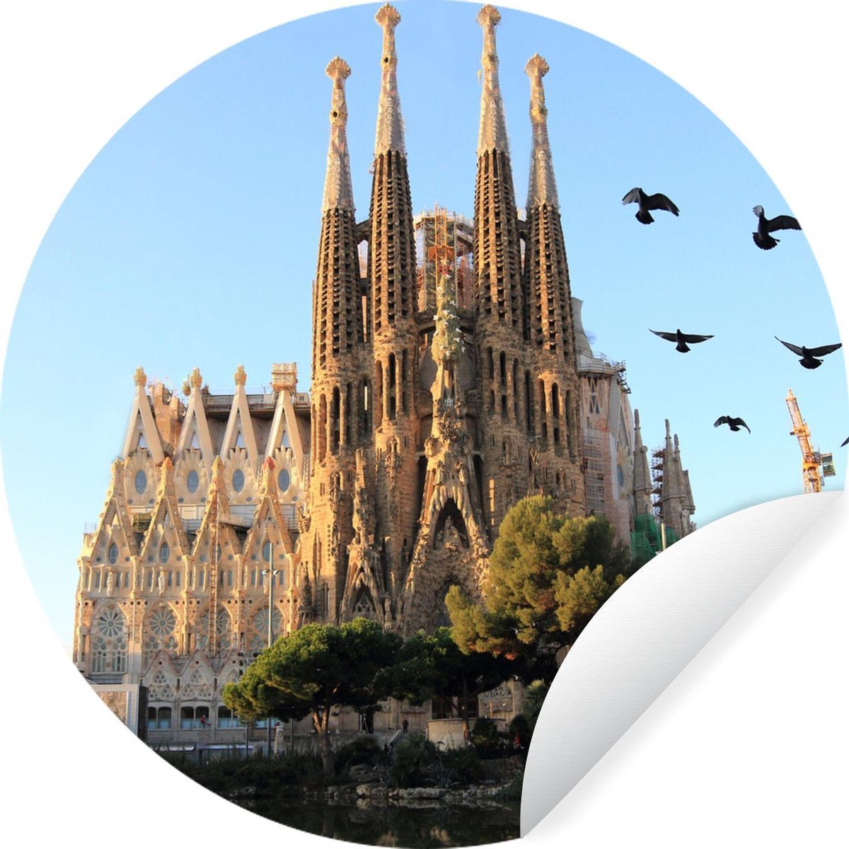 Vogels pour la Sagrada Familia en Espagne Sticker mural cercle mural