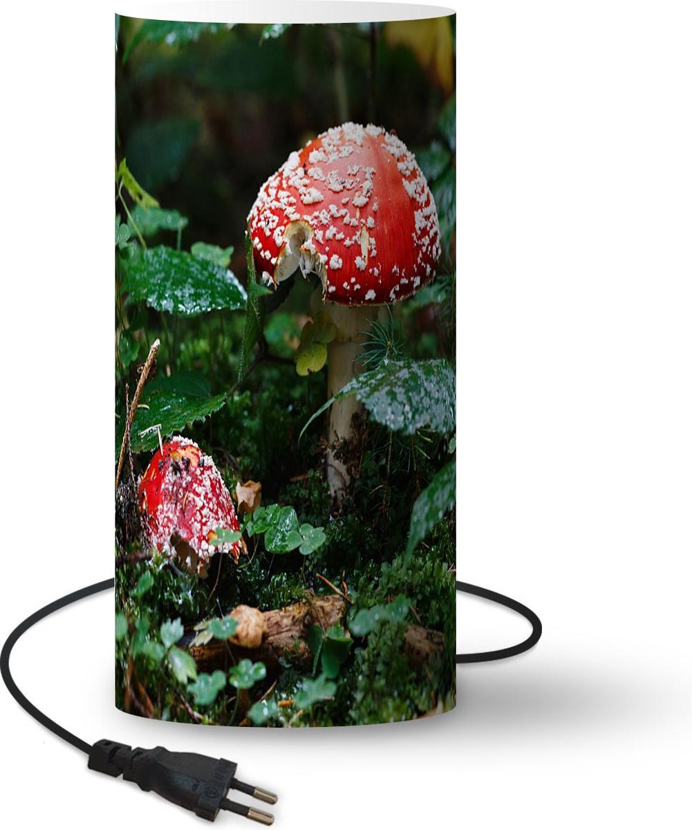 Lamp Paddestoelen Twee rood met witte paddenstoelen lamp 54 cm hoog