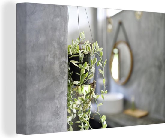 automaat goedkeuren Carry Canvas Schilderij Kleine hangplant in de badkamer - 30x20 cm -  Wanddecoratie | bol.com