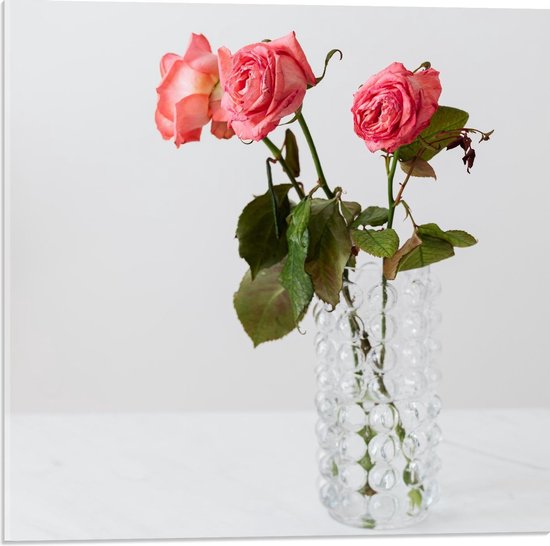 Acrylglas - Roze Rozen in doorzichtige Vaas - 50x50cm Foto op Acrylglas  (Wanddecoratie... | bol.com