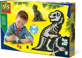 Gieten en schilderen - T-Rex met skelet