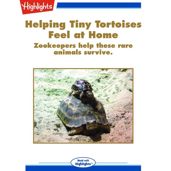Helping Tiny Tortoises Feel at Home - cover