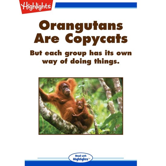 Orangutans Are Copycats - cover
