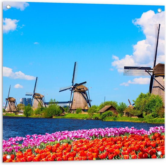 Tuinposter – Nederlandse Molens met Tulpen - 80x80cm Foto op Tuinposter  (wanddecoratie voor buiten en binnen)