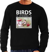 Dieren foto sweater Pestvogel - zwart - heren - birds of the world - cadeau trui Pestvogels liefhebber XL