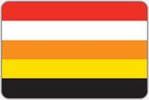 Vlag Benschop - 200 x 300 cm - Polyester