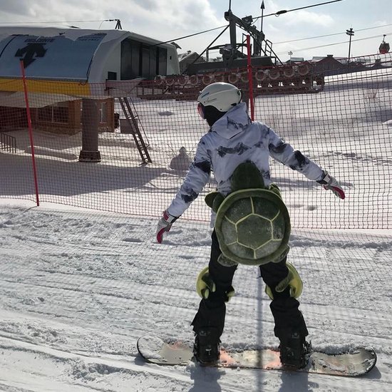 Delegeren Quagga kwartaal Volwassen kinderen buitensporten skiën schaatsen snowboarden heup  beschermende... | bol.com