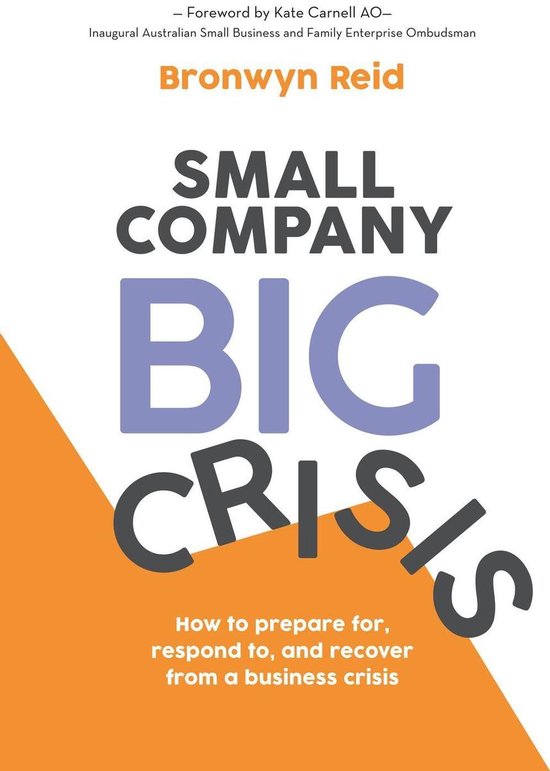 Small Company Big Crisis - cover