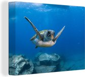 Canvas Schilderij Een zwemmende groene schildpad in het blauwe water - 120x90 cm - Wanddecoratie