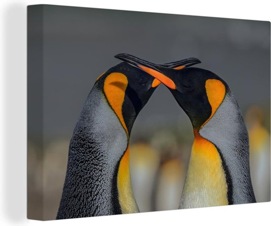 Pingouins amoureux kussen avec bec 90x60 cm - Tirage photo sur toile (Décoration murale salon / chambre)