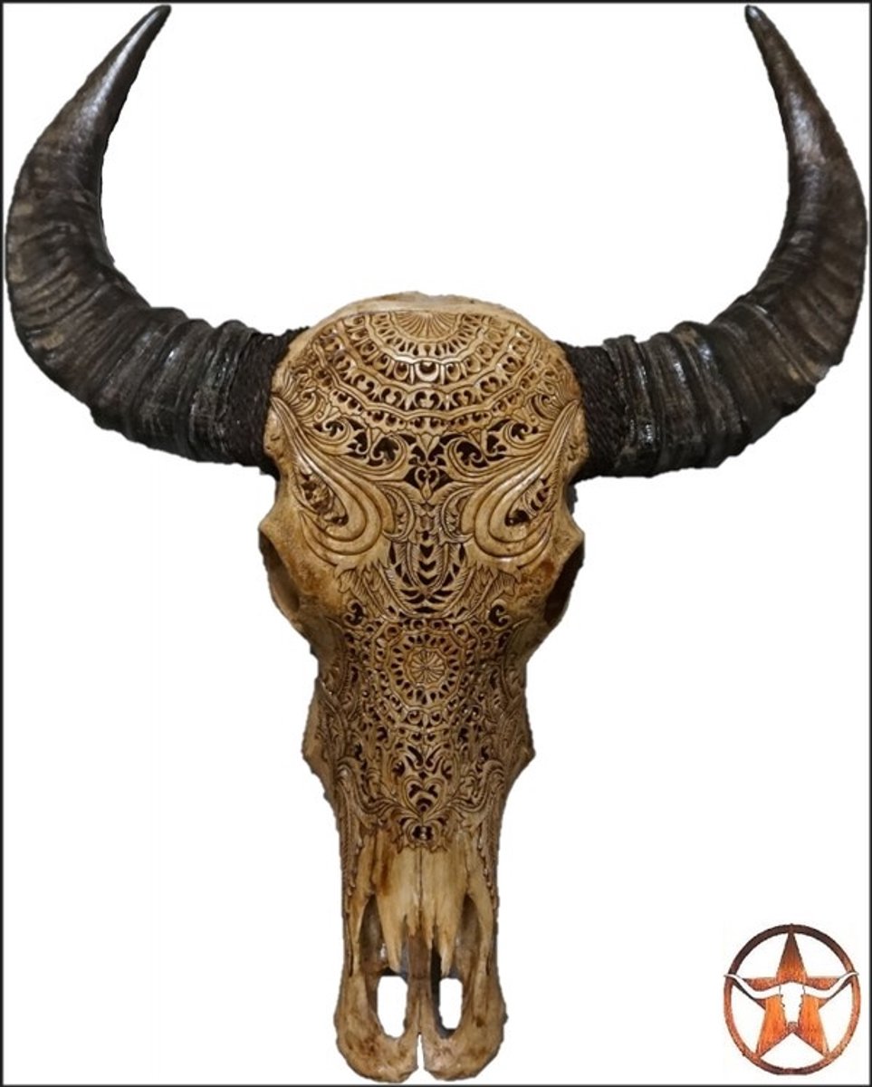 Skull echt -