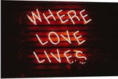 Dibond - ''Where Loves Lives'' Rode Neonletters - 90x60cm Foto op Aluminium (Wanddecoratie van metaal)