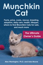 Munchkin Cat: The Ultimate Owner’s Guide