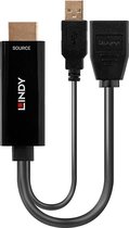 LINDY 38289 HDMI / USB / DisplayPort Converter [2x HDMI-stekker, USB-A - 1x DisplayPort bus] Zwart 0.18 m