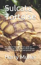 Sulcata Tortoise