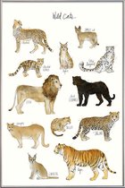 JUNIQE - Poster met kunststof lijst Wilde katten illustratie -40x60