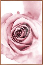 JUNIQE - Poster met kunststof lijst Roze pioenroosblaadjes -30x45