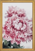 JUNIQE - Poster met houten lijst Peony in Focus -60x90 /Grijs & Roze