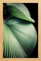 JUNIQE - Poster in houten lijst Sharp Palm -30x45 /Groen