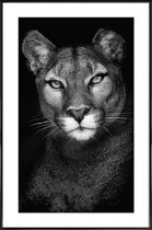 JUNIQE - Poster in kunststof lijst Lioness -60x90 /Grijs & Zwart
