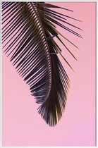 JUNIQE - Poster met kunststof lijst Tropicana Pink by @BineArnold