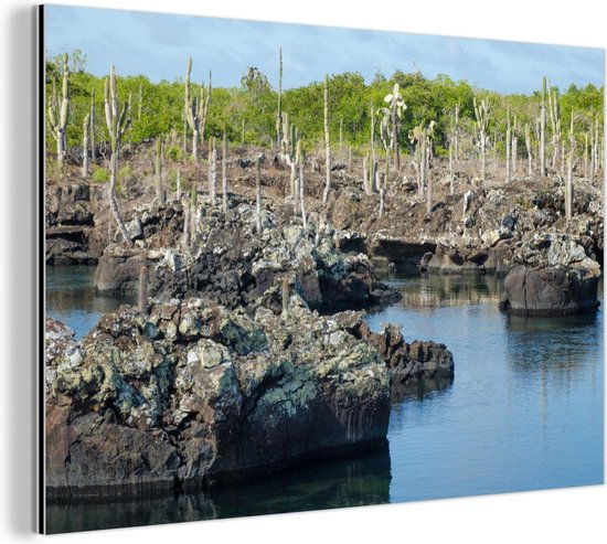 Rotsen en cactussen landschap in de Galapagos eilanden Aluminium 90x60 cm - Foto print op Aluminium (metaal wanddecoratie) / Zee en Strand Rotsen en cactussen landschap in de Galapagos eilanden Aluminium 90x60 cm - Foto print op Aluminium (metaal wanddecoratie) / Zee en Strand