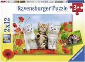Ravensburger puzzel Katjes op ontdekkingsreis - 2x12 stukjes - kinderpuzzel
