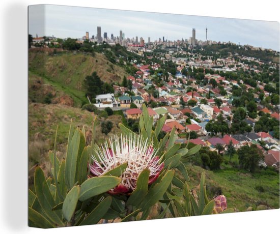 De natuur van Johannesburg in Zuid-Afrika Canvas 90x60 cm - Foto print op Canvas schilderij (Wanddecoratie woonkamer / slaapkamer)