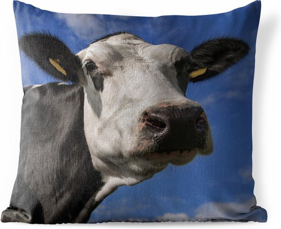 Sierkussen Friese koe voor buiten - Een Friese koe met een witte kop - 40x40 cm - vierkant weerbestendig tuinkussen / tuinmeubelkussen van polyester