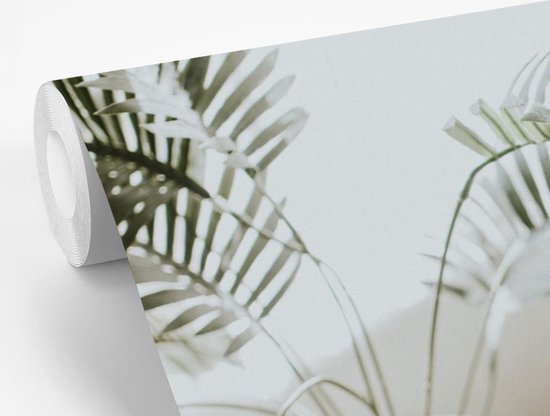 Fotobehang vinyl - Plant in woonkamer breedte 450 cm x hoogte 280 cm - Foto print op behang (in 7 formaten beschikbaar)