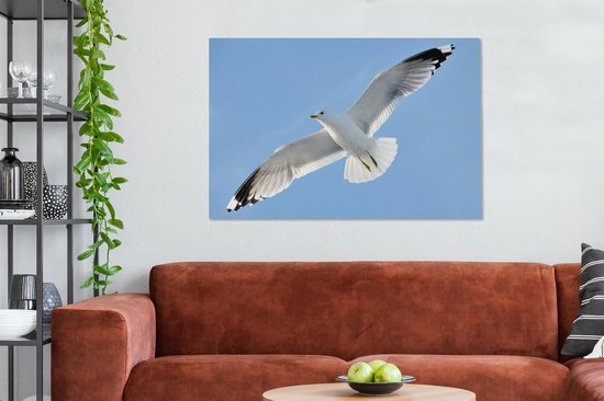 Gros plan d'une mouette en vol Toile 120x80 cm - Tirage photo sur toile (Décoration murale salon / chambre)