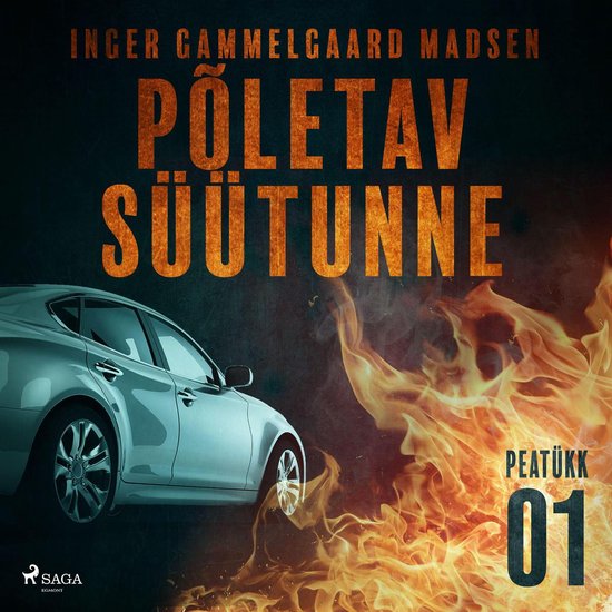 Põletav süütunne – 1. peatükk - cover