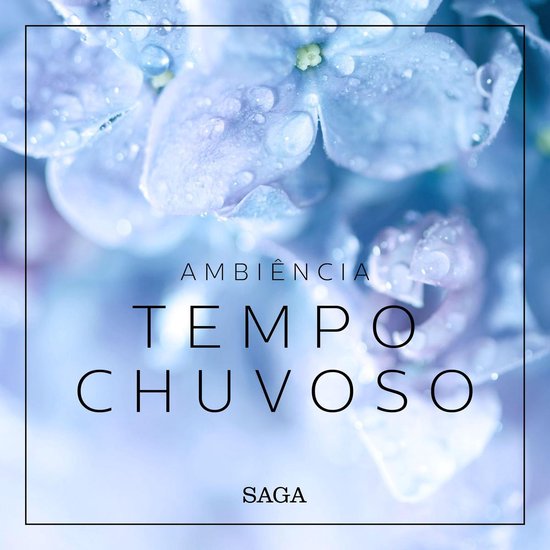 Ambiência - Tempo Chuvoso - cover