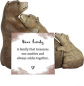 Something Different Beeld/figuur Bear Family Bruin