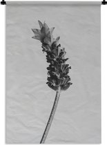 Wandkleed Abstract Zwart-Wit - Abstracte lavendel in zwart-wit Wandkleed katoen 60x90 cm - Wandtapijt met foto