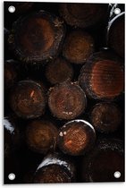 Tuinposter – Opgestapelde Boomstammen met Sneeuw - 40x60cm Foto op Tuinposter (wanddecoratie voor buiten en binnen)