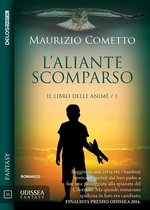 L'aliante scomparso