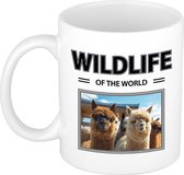 Alpaca mok met dieren foto wildlife of the world