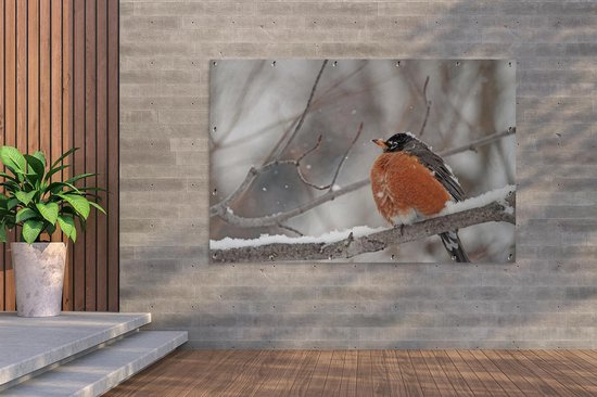 Affiche de jardin Robin sur une branche enneigée 180x120 cm - Toile de jardin / Toile d'extérieur / Peintures d'extérieur (décoration de jardin) XXL / Groot format!