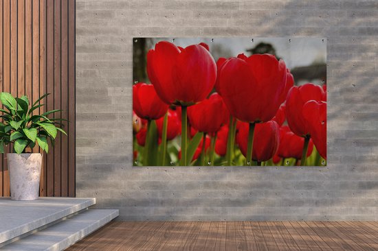 Gros plan de tulipes rouges Affiche de jardin 180x120 cm - Toile de jardin / Toile d'extérieur / Peintures d'extérieur (décoration de jardin) XXL / Groot format!