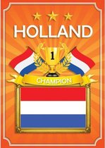 10x Oranje Holland kampioen poster - Ek/ Wk oranje artikelen/ versiering posters