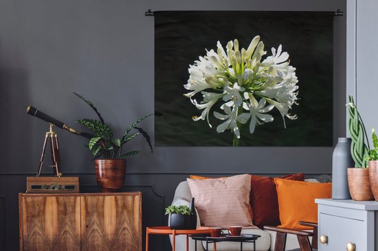 Tapisserie Plantes sur fond noir - Un agapanthe blanc en fleurs sur fond sombre Tapisserie en coton 150x112 cm - Tapisserie avec photo