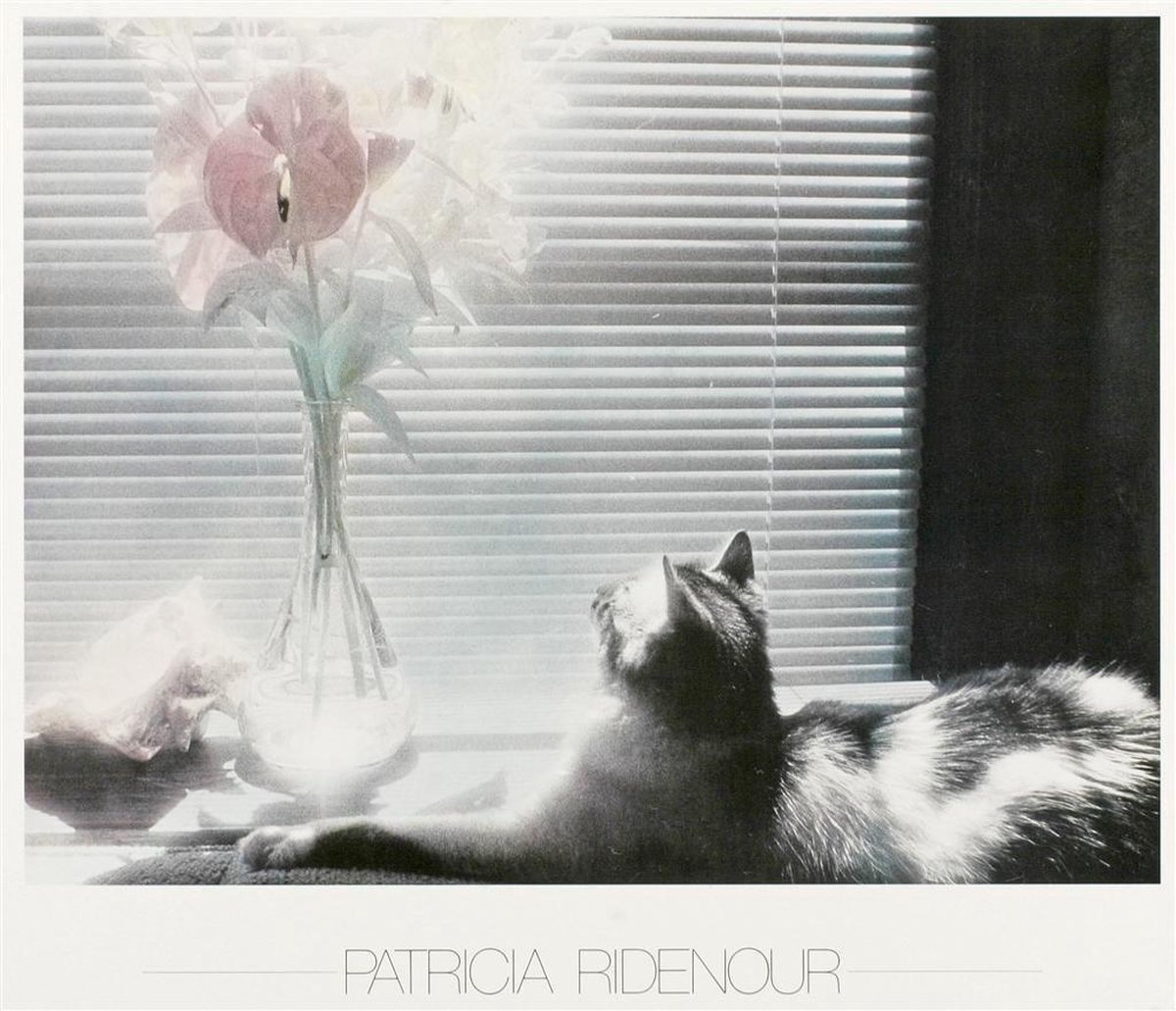 Catch Projecten Poster - Cat, Conch and Flowers - P. Ridenour - Zwart/Wit - Fotografie - Jaren 80