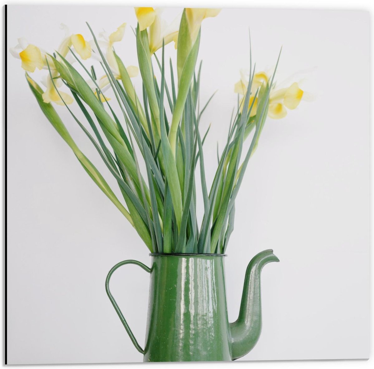 Dibond - Groene Gieter met Bloemetjes - 50x50cm Foto op Aluminium (Wanddecoratie van metaa