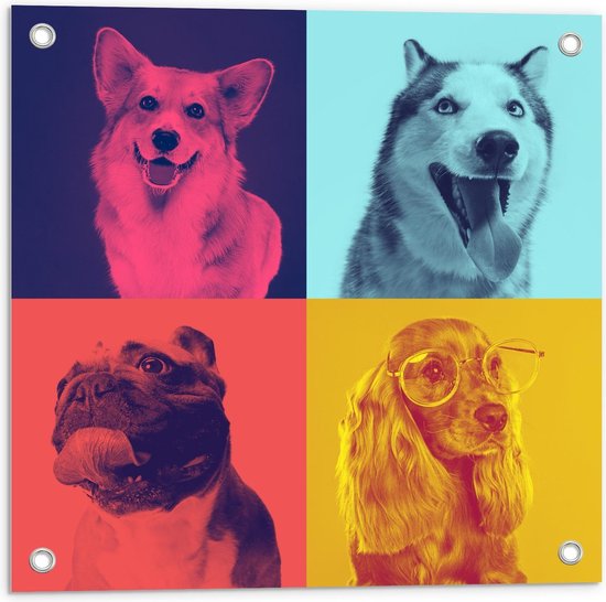 Tuinposter – Verschillende soorten Honden in Gekleurde Vakken - 50x50cm Foto op Tuinposter  (wanddecoratie voor buiten en binnen)