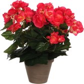 2x stuks donkerroze Begonia kunstplant met bloemen 30 cm in grijze pot - Kunstplanten/nepplanten - Voor binnen