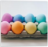 Forex - Gekleurde Eieren in Eierdoos - 50x50cm Foto op Forex