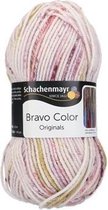 Schachenmayr Bravo Color 50 Gram - 2138