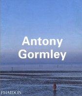 Antony Gormley Contemporary Artists